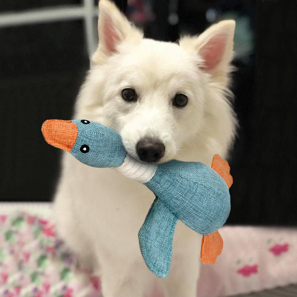 Dog toy large dog golden hair Teddy dog toy ball bite sound resistant plush pet dog toy molars