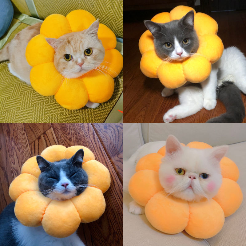 Dog collar cute Elizabeth collar cat head cover cat moss anti lick sunflower collar pet supplies
