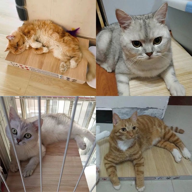 Japanese cat claw board no chip grinding artifact wear resistant solid wood cat toys cat supplies cat nest large cat claw board