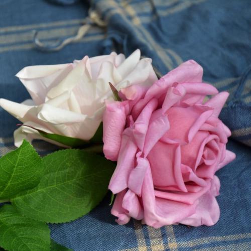 Simulation moisturizing hand feeling rose single high grade living room bedroom wedding decoration bride studio wedding photography bouquet