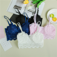 Real shooting Korean version lace wrapped bra bra no steel ring underwear girl bra sling vest real price