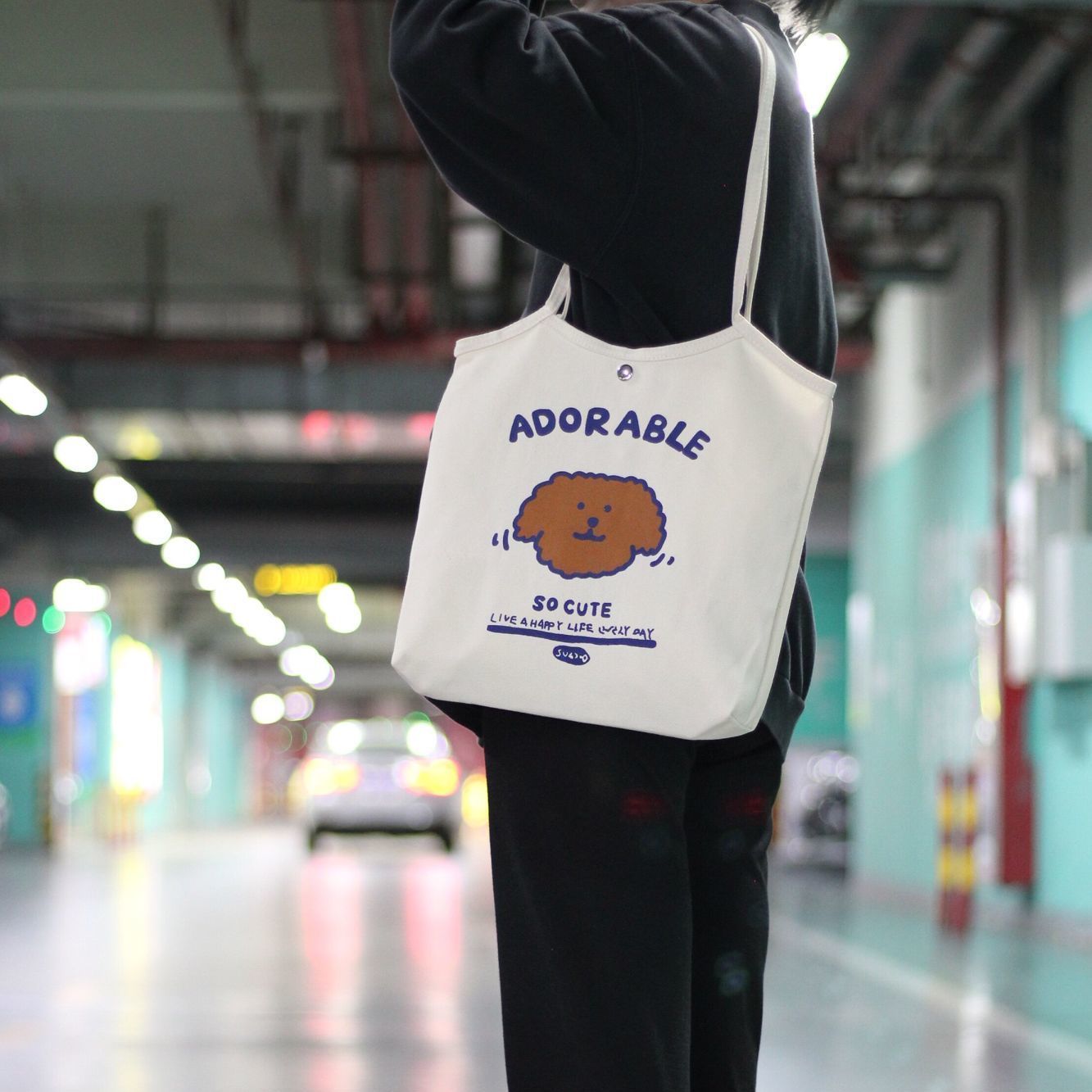 Japanese Harajuku Korean classic one shoulder female messenger bag Korean ins retro large capacity student class canvas bag