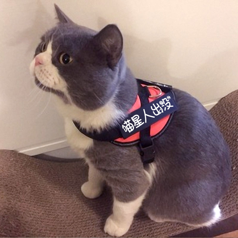 Cat's traction rope cat's rope cat's special vest type anti break free cat chain cat's rope collar cat supplies