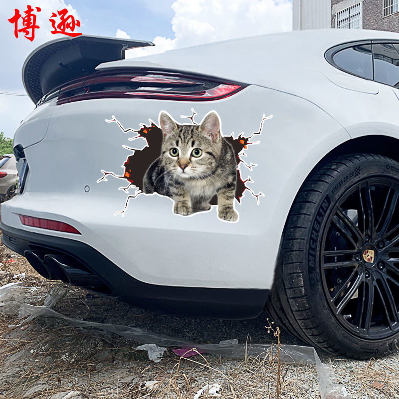 Creative personality 3D kitten car stickers cute funny cat cover body rear scratches
