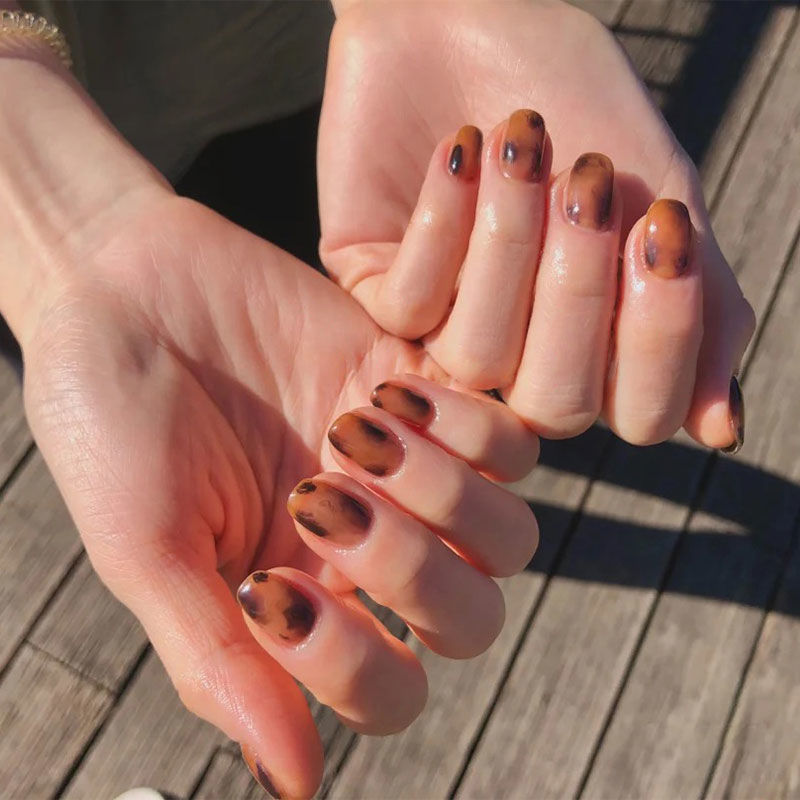 [xiaohongshu.com] tortoiseshell nail polish new product in autumn and winter