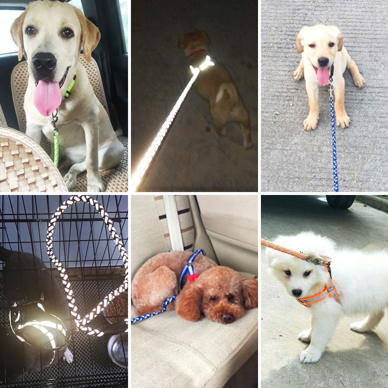 Dog traction rope dog chain Teddy golden hair small medium sized dog walking dog chest strap pet supplies collar