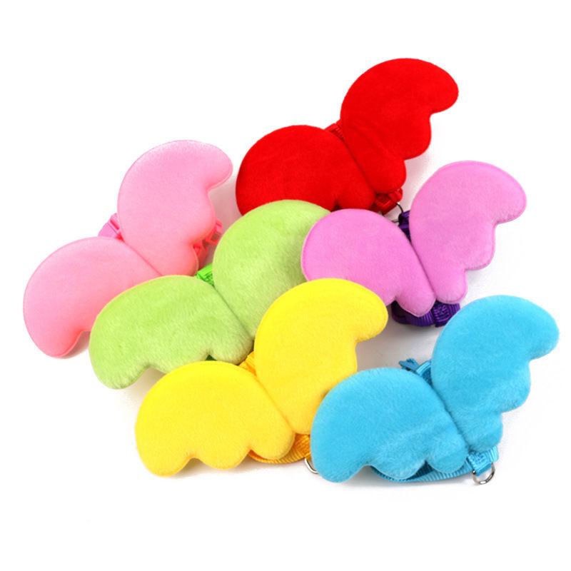 Pet products traction rope out cats and puppies suggest small and medium-sized dog chain cat chain dog rope cat rope to prevent free