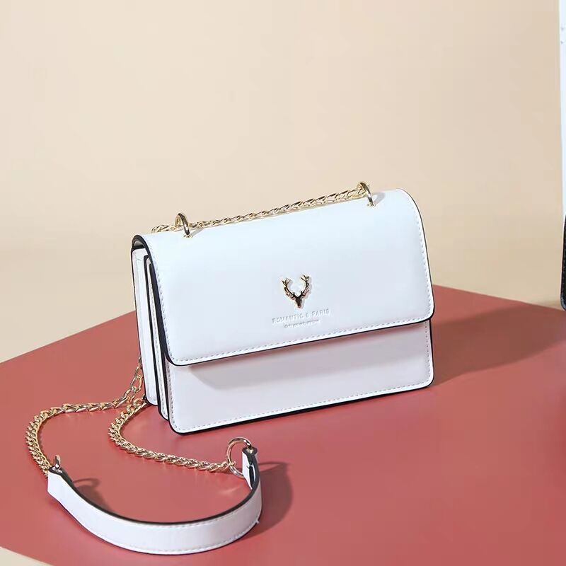 Autumn and winter small bag girl 2021 new chain versatile ins fashion one shoulder cross small square bag net red