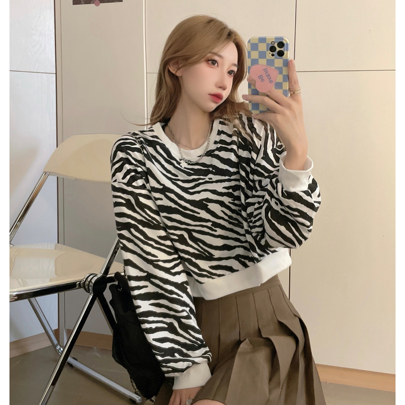 Real price fish scale zebra sweater women's spring and autumn thin loose Korean version