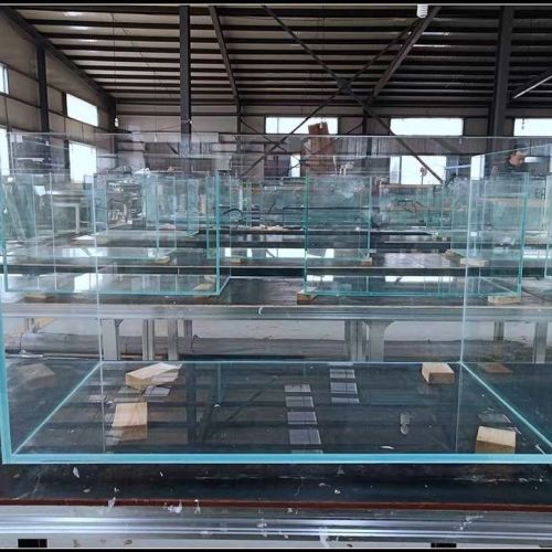 Super platinum fish tank decoration living room small turtle glass tank water and grass landscape rectangular grass tank size customization