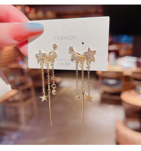 Real shot S925 silver needle Korean star tassel long earrings women's fashion personalized Earrings
