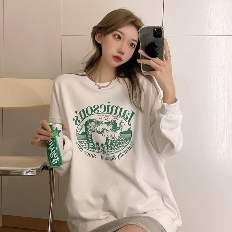 Autumn and winter Korean new round neck sweater loose and versatile Long Sleeve Jacket