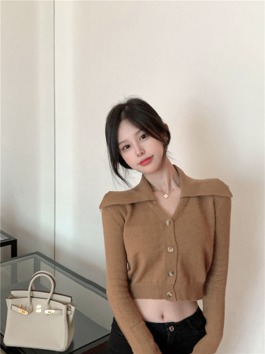 Real shot 21 autumn and winter retro single breasted Lapel ultra short knitted cardigan versatile Spice Girl Sweater Coat