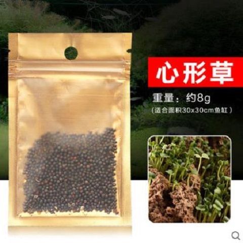 Fish tank aquarium bottom water grass seed package Mini Leaf foreground grass real turf Lawn Landscaping Decoration