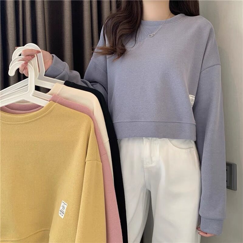 Autumn and winter Korean new loose short sweater casual fashion top women's 250g brushed Minnie
