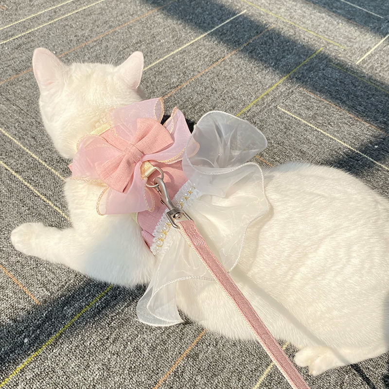 Cat walking cat rope cat chest strap traction rope princess skirt dual purpose pet clothes go out walking cat rope dog rope