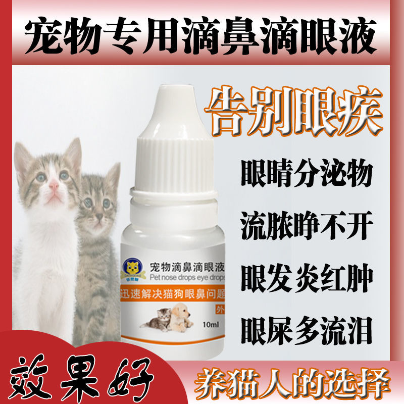 Cat nose branch cat eye drops cat eye drops conjunctivitis cat tear marks dog eye drops tear marks eye excrement