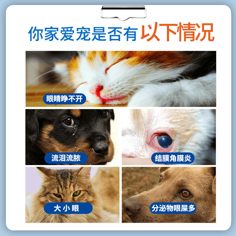 Cat eye drops cat eye drops dog eyes inflamed tears pus conjunctivitis eye droppings are antibacterial