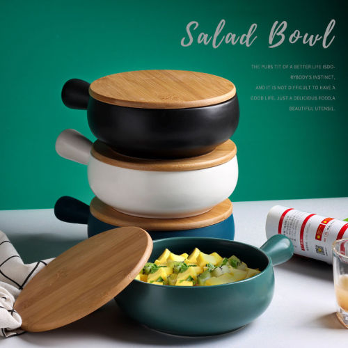 Oven baked rice bowl baking bowl with handle ceramic plate personalized household tableware instant noodles soup bowl fruit salad bowl