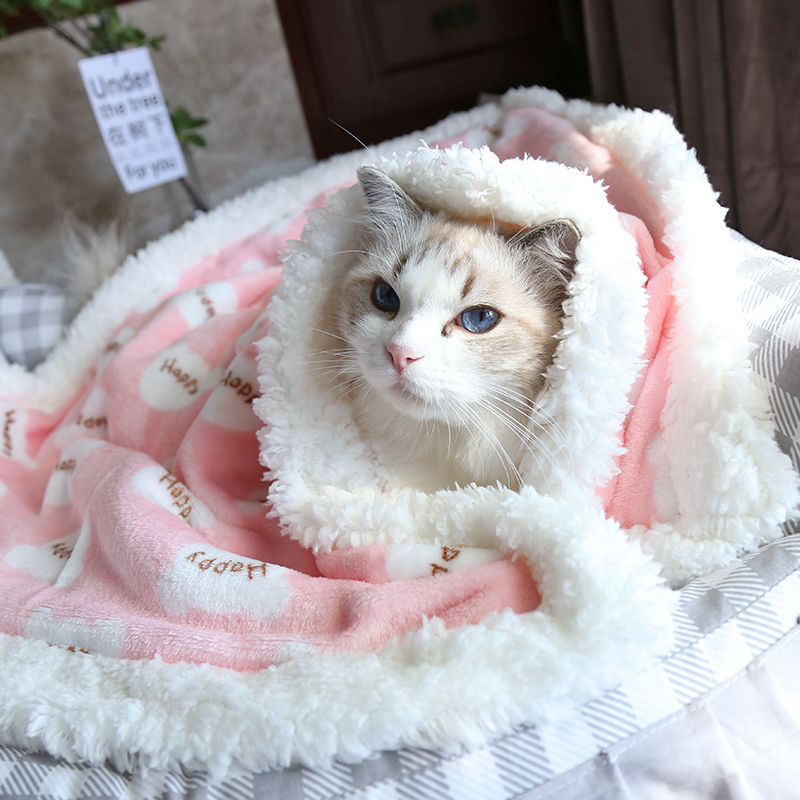 Winter warm pet blanket double thickened Plush flannel coral Plush Dog Mat cat Blanket Quilt