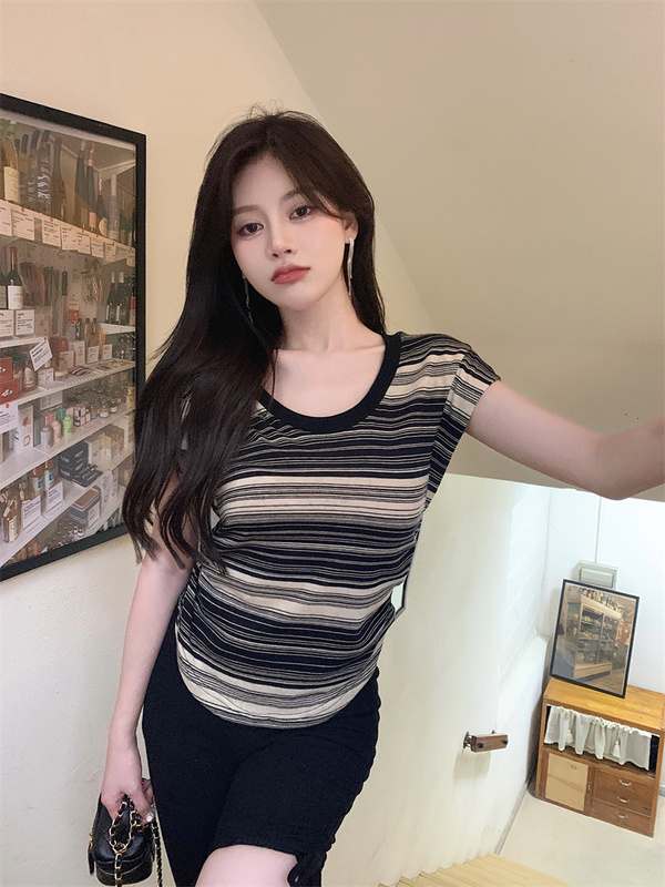 Hong Kong Style Vintage stripe round neck short sleeve T-shirt women's summer design sense wrinkle slim irregular casual top fashion