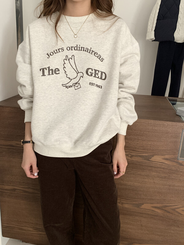 [LOVELY/SHMILY] Korean retro flying pigeon casual plus velvet thick all-match sweater sweater Z1731