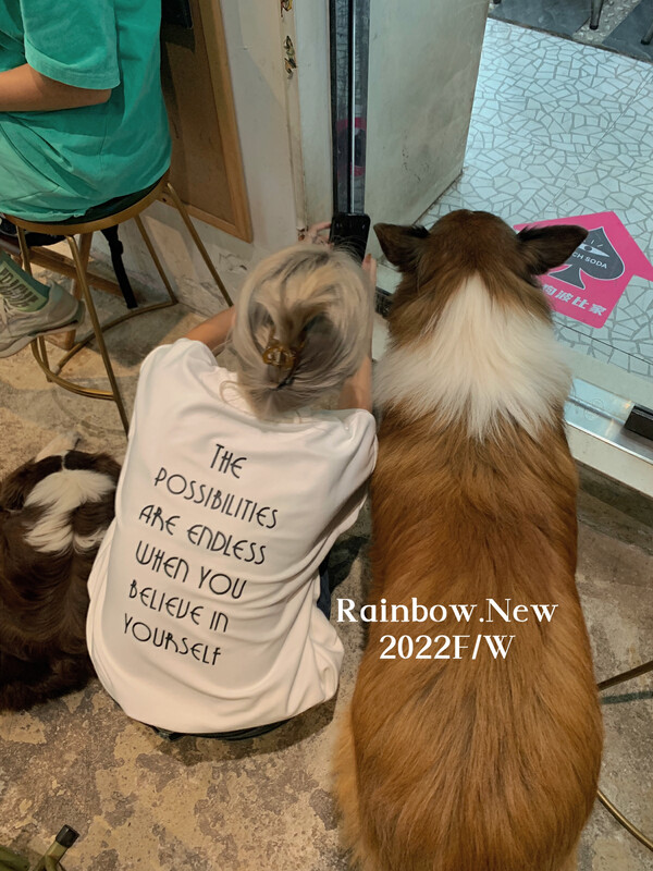 【RAINBOW】Autumn and winter new Korean version of the niche sheep pattern printing round neck short-sleeved T-shirt thickened short-sleeved T-shirt female 03022