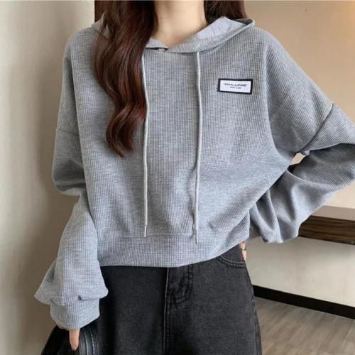 Hooded sweater women's new design sense niche short coat loose lazy style chic early autumn top