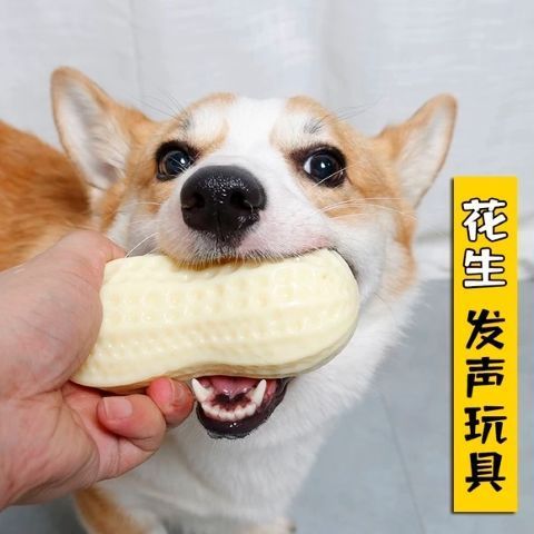 Pet dog toy anti-boring artifact anti-bite simulation peanut rubber molar teeth sound chewing gum dog universal alone