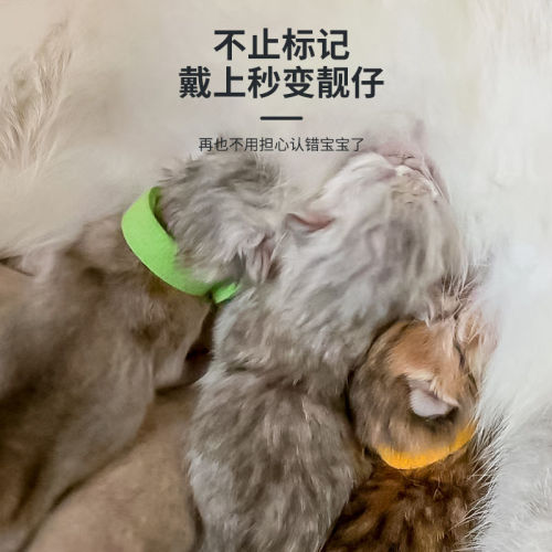Newborn pet identification ring neck identification belt puppy cat distinguishing collar milk dog kitten mark rope