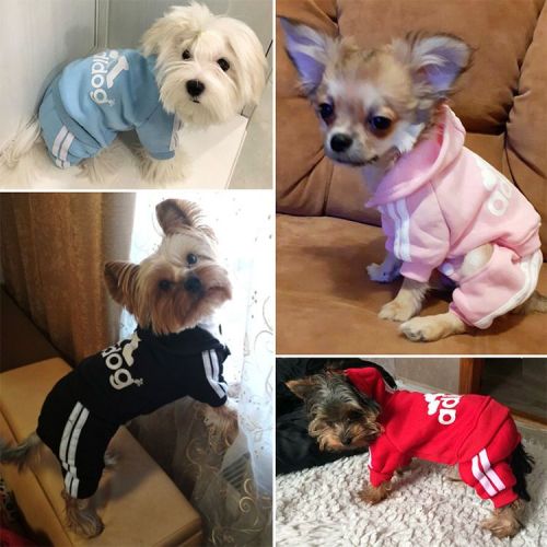Dog clothes sports cat sweater pet clothes spring and autumn two-legged four-legged clothes Teddy Bomei pet clothes