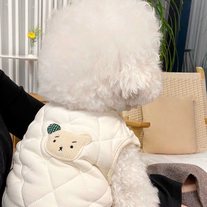 Autumn and winter thickened pet cotton coat Teddy VIP bichon Pomeranian cat small dog dog clothes winter cotton jacket