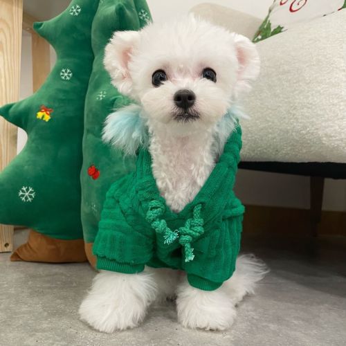 Pet dog cat clothes sweater schnauzer bichon teddy small and medium-sized dog autumn and winter keep warm and prevent hair loss