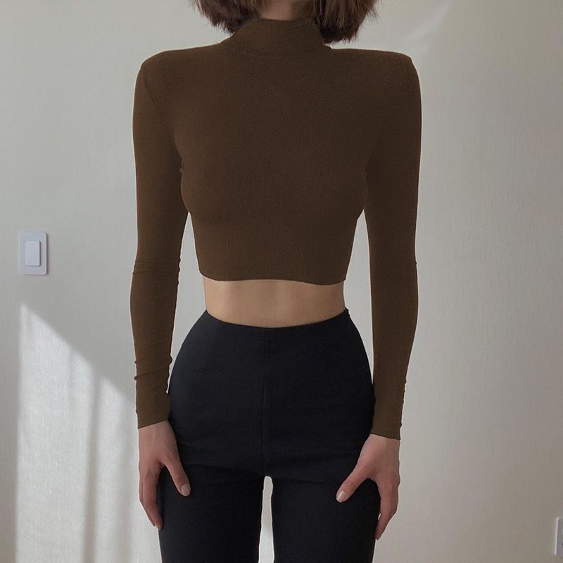 Long-sleeved t-shirt women's autumn looks thin pure desire style bottoming shirt slim fit hot girl short top tide