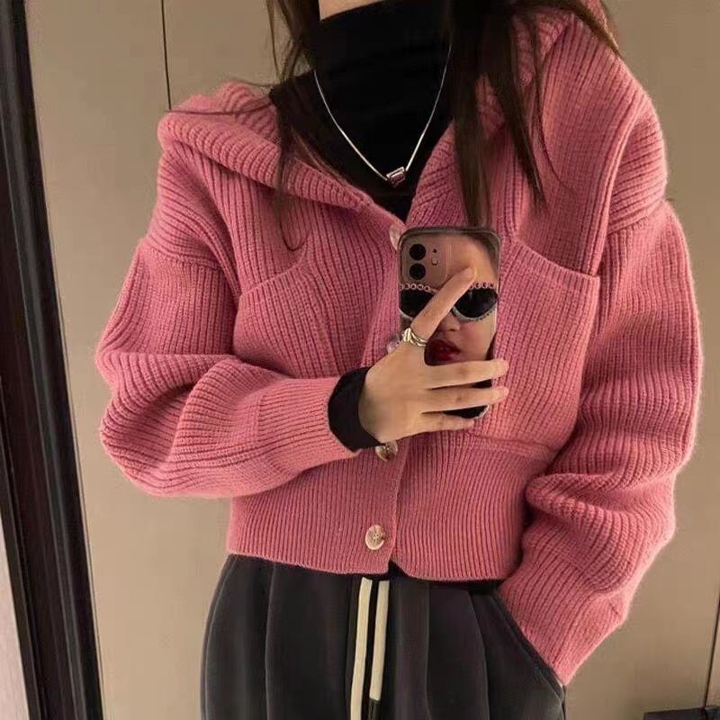 Hooded sweater jacket for women in autumn and winter new style lazy style top gentle loose outer wear chic short knitted cardigan