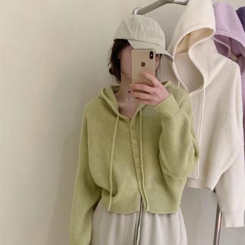 Gentle wind small hooded sweater for women spring and autumn new loose slim casual solid color cardigan top short style