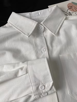 White shirt for women in autumn  new temperament shirt for small people with bottoming long-sleeved tops for commuting formal wear