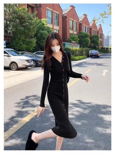 Knitted dress women's autumn and winter  new style women's gentle temperament slim bottoming sweater long skirt