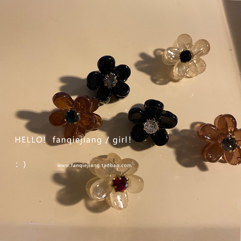 Retro mini acetate hairpin, small and exquisite, small bangs clip, small grabber clip, cute Japanese style