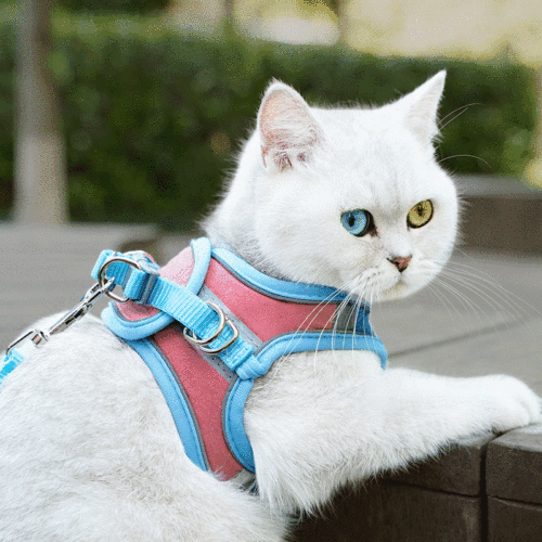 Pet daily necessities dog leash dog walking set pet suede cat harness luminous leash
