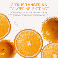 Cross-border FENYI Fenyi Vitamin C Essence Cream 40g Moisturizing Moisturizing Cream Face Cream Skin Care Products English Packaging