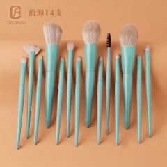 Cangzhou Makeup Brush Complete Set of Beauty Tools New Blue Ocean 14 Makeup Brush Set Cangzhou Moyu Makeup Tools