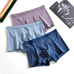 Japanese fashion striped underwear men's modal cotton mid-waist breathable men's underwear teenager student shorts head