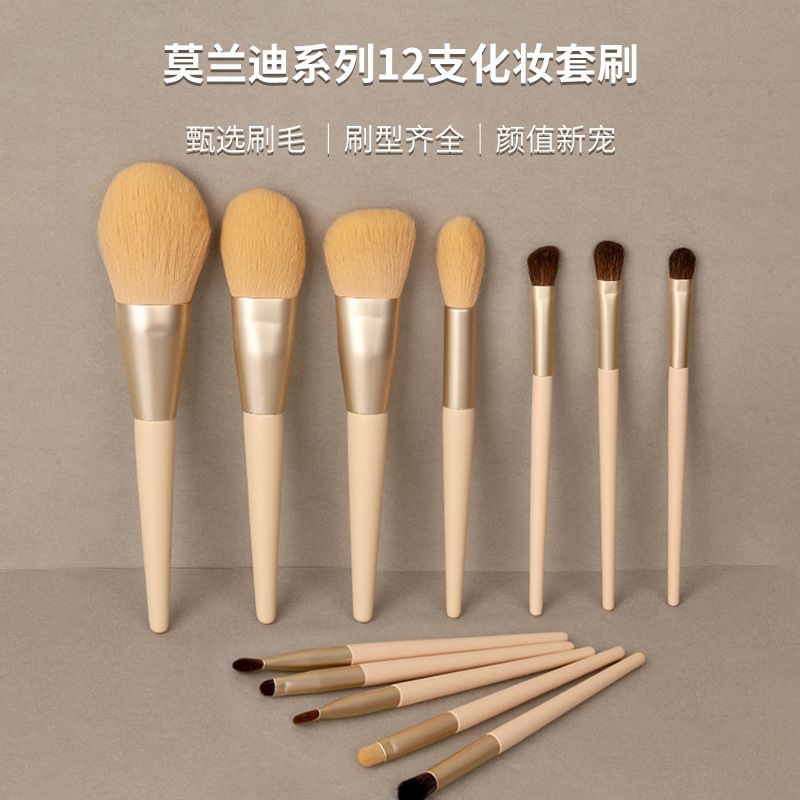 Cangzhou Morandi 12-piece makeup brush set soft-bristled eye shadow brush contouring loose powder blush concealer brush beauty tool