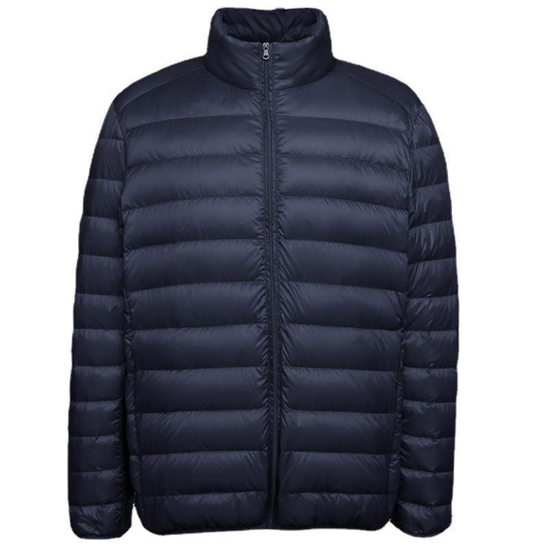 90 down men's stand collar down jacket, thin, short, large size, lightweight, stylish white duck down jacket, Pinghu down jacket