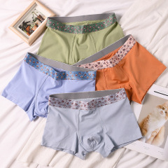 Men's boxer briefs pure cotton breathable shorts bear personality wide-brimmed belt youth underpants