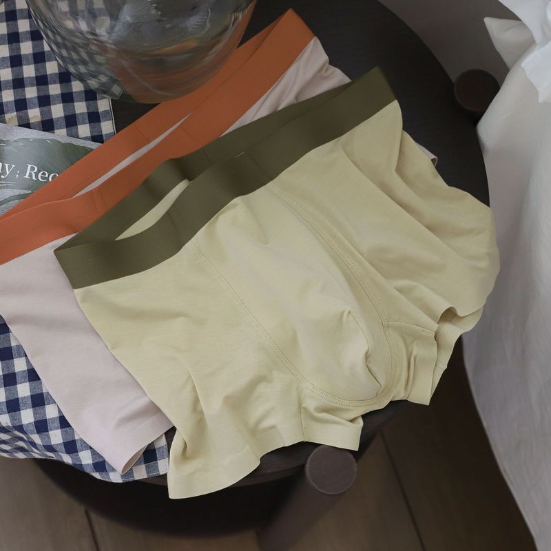 NS5638 60 count, soft, youthful, contrasting color design, comfortable, traceless stretch cotton, mid-waist boys' underwear