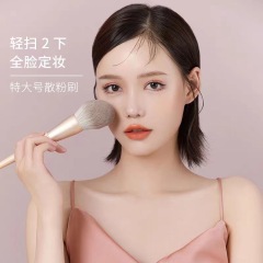 Cangzhou loose powder makeup brush large fluffy soft one set makeup wooden handle trim brush beauty tool brush