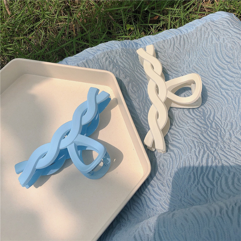Macaron~Spring and summer color grab clip shark clip ins niche blue twist bath clip hair clip temperament hair accessories for women