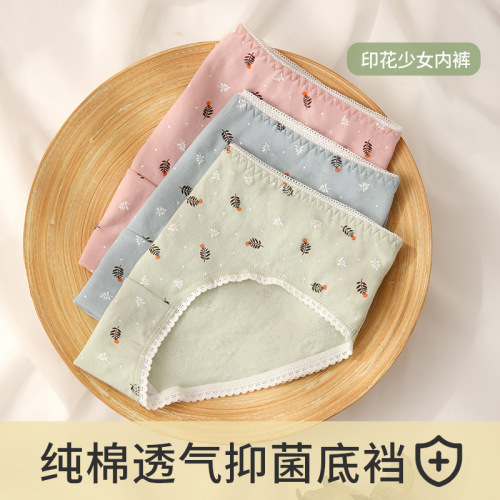 Lace small fresh antibacterial cotton underwear women's mid-waist breathable and comfortable Japanese girl student briefs manufacturer